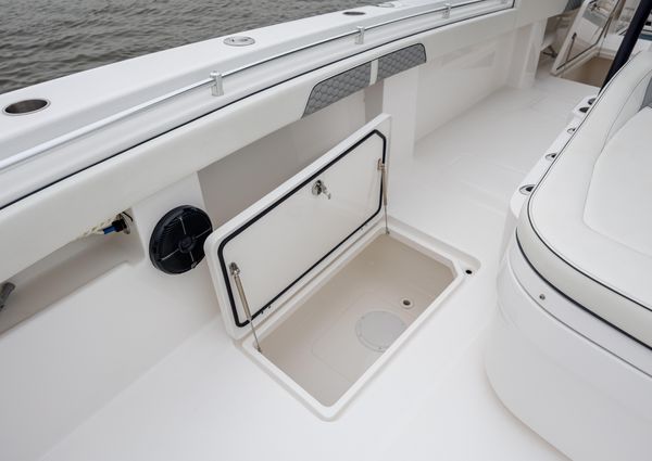 Invincible 35 Catamaran image