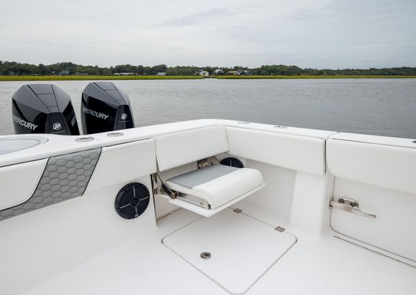 Invincible 35 Catamaran image