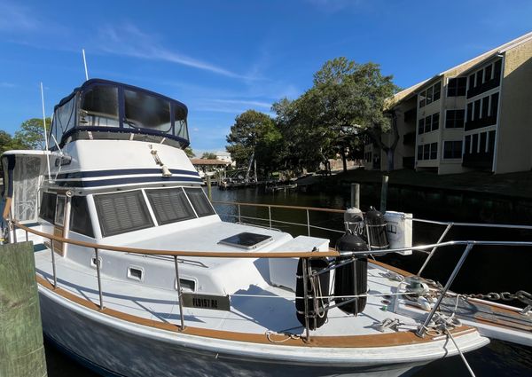 Gulfstar TRAWLER image