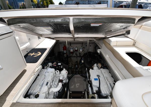 Sea-ray 450-SUNDANCER image