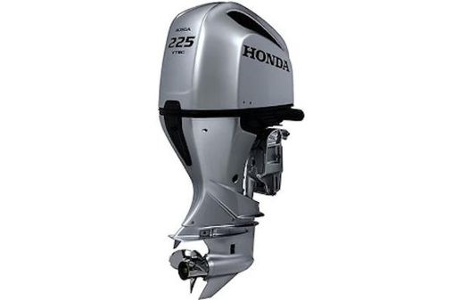 Honda BF250DXCRA WT image