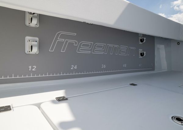 Freeman 42 LR image