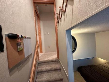 Skipperliner 550 image