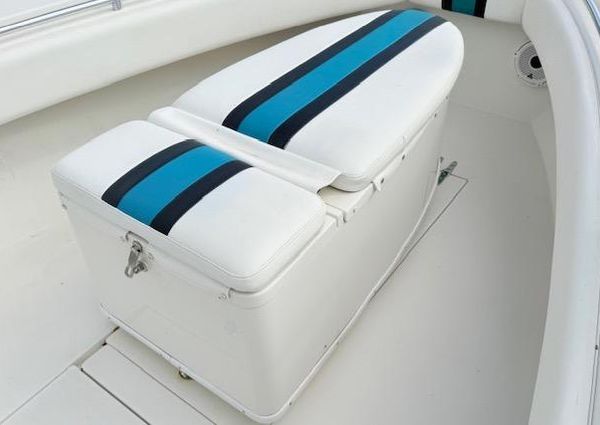 Contender 31-OPEN image