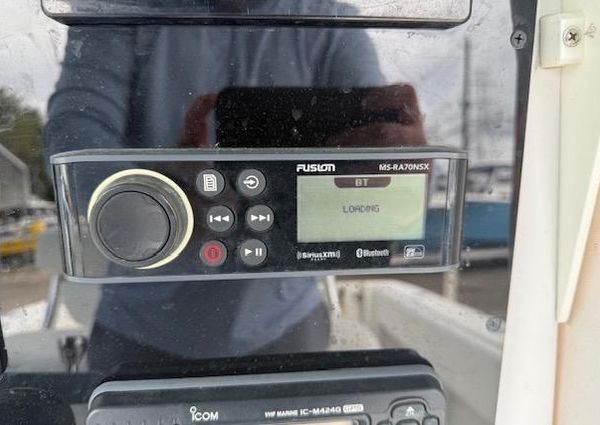 Contender 31-OPEN image