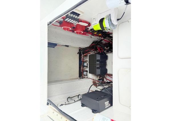 Contender 31-OPEN image