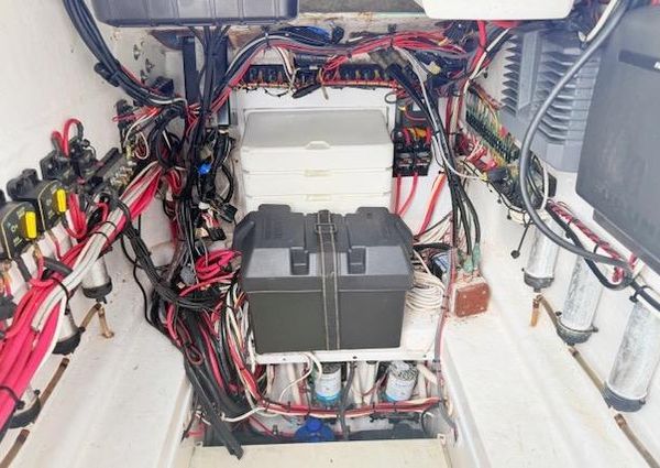 Contender 31-OPEN image