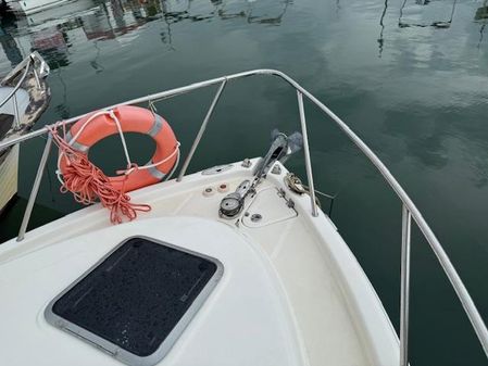 Robalo R265 Walkaround image