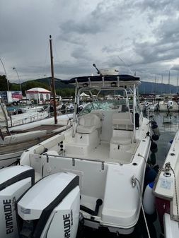 Robalo R265 Walkaround image