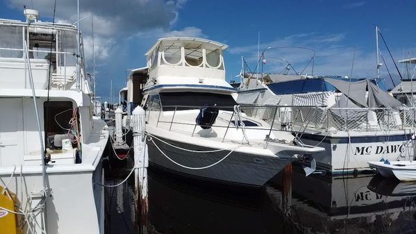 Sea-ray 410-AFT-CABIN image