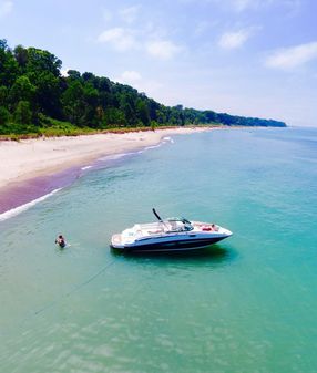 Sea-ray 260-SUNDECK image