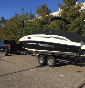 Sea-ray 260-SUNDECK image