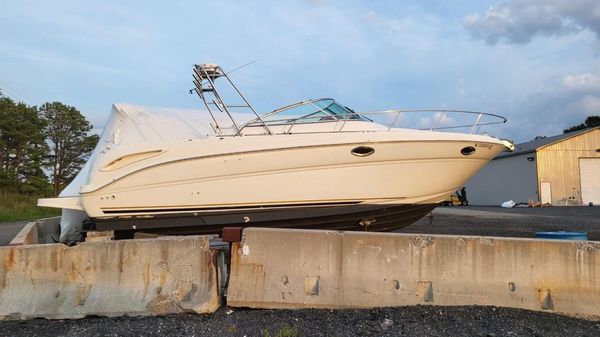 Sea Ray 290 Amberjack