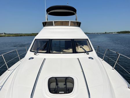 Sea Ray 455 image