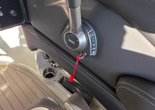 Crownline 255 SS SURF image