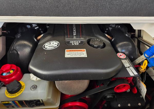 Crownline 255 SS SURF image