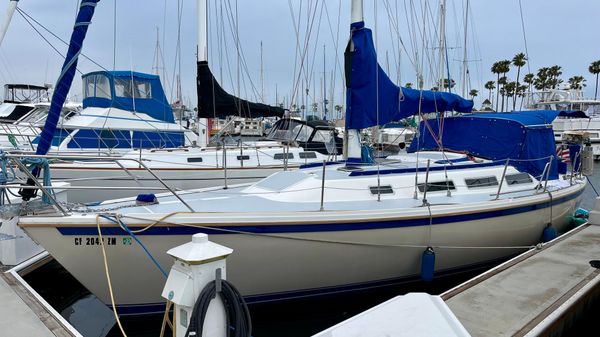Catalina 36 
