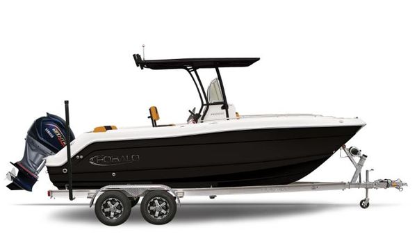 Robalo R222 