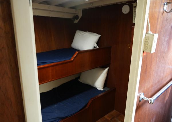 Stephens Brothers YP655 image