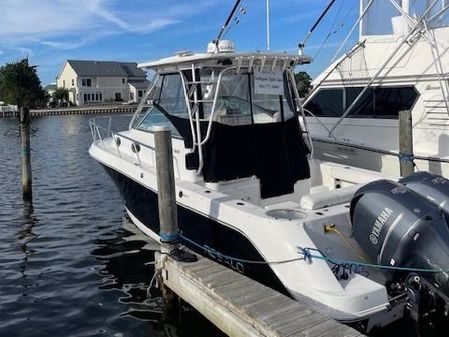 Robalo R305 Walkaround image