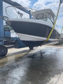 Robalo R305 Walkaround image