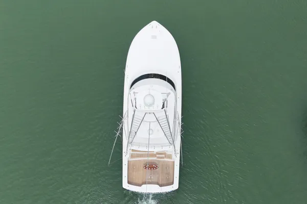 Viking 55 Convertible image