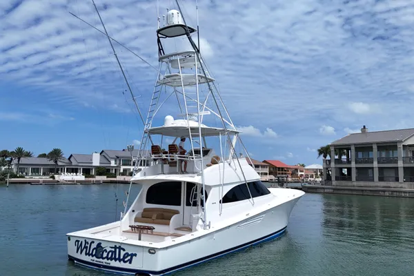 Viking 55 Convertible image