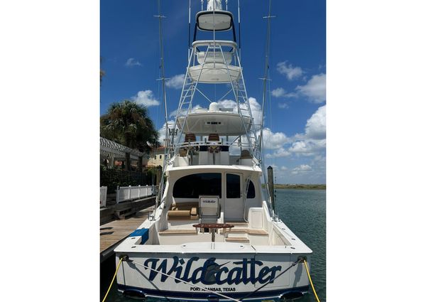 Viking 55 Convertible image