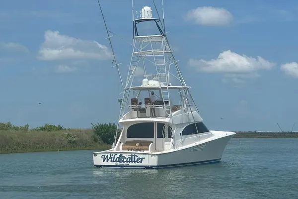 Viking 55 Convertible image