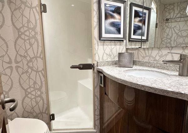 Viking 55 Convertible image