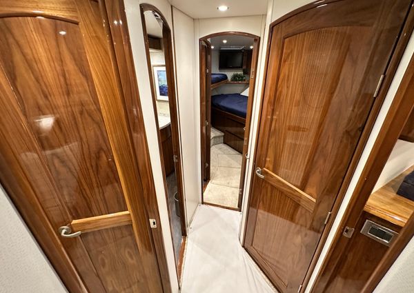 Viking 55 Convertible image