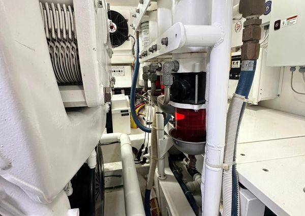 Viking 55 Convertible image