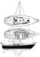 C&C 32 image