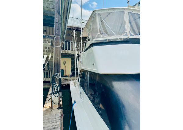 Viking 50 Convertible image