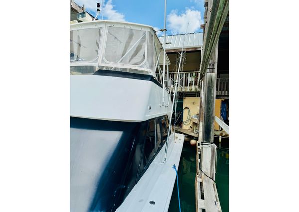 Viking 50 Convertible image