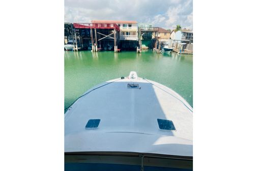 Viking 50 Convertible image