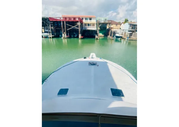 Viking 50 Convertible image