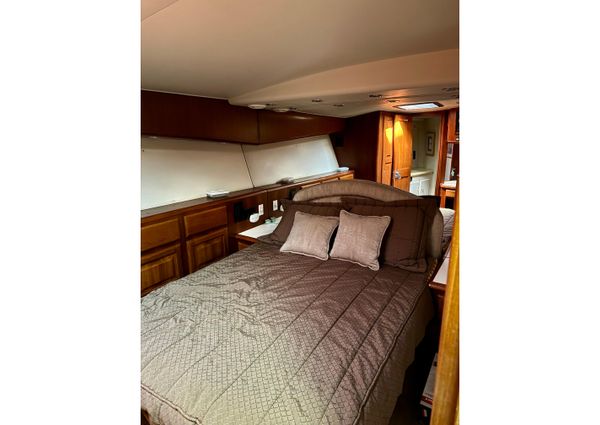 Viking 50 Convertible image