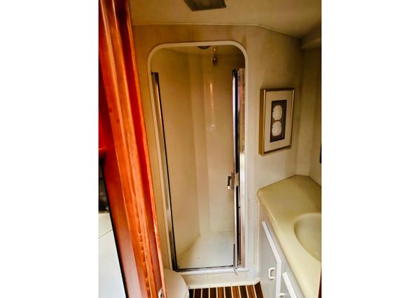 Viking 50 Convertible image