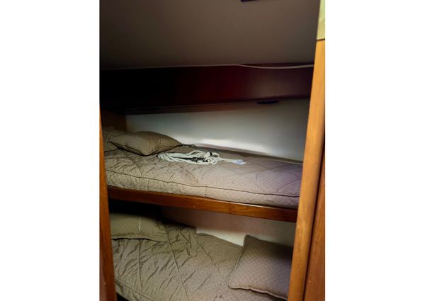 Viking 50 Convertible image