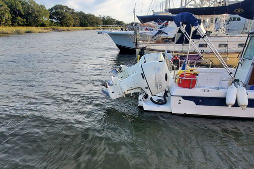 C-Dory TOMCAT 255 image