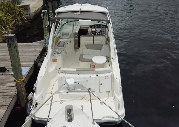 Sea-ray 310-SUNDANCER image