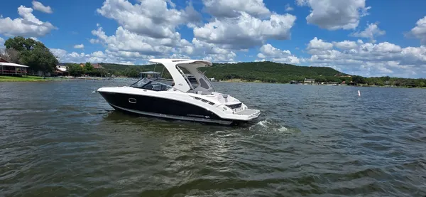 Chaparral 317 SSX image