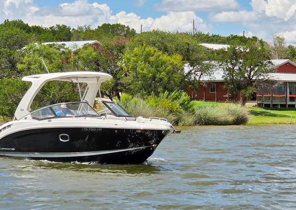 Chaparral 317 SSX image