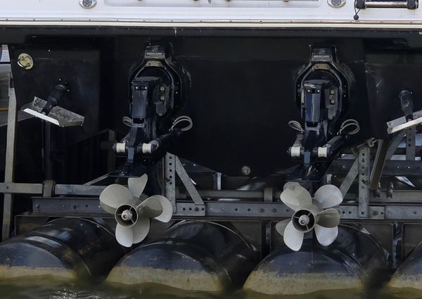 Chaparral 317 SSX image