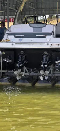 Chaparral 317 SSX image