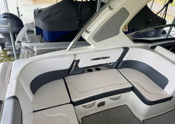 Chaparral 317 SSX image