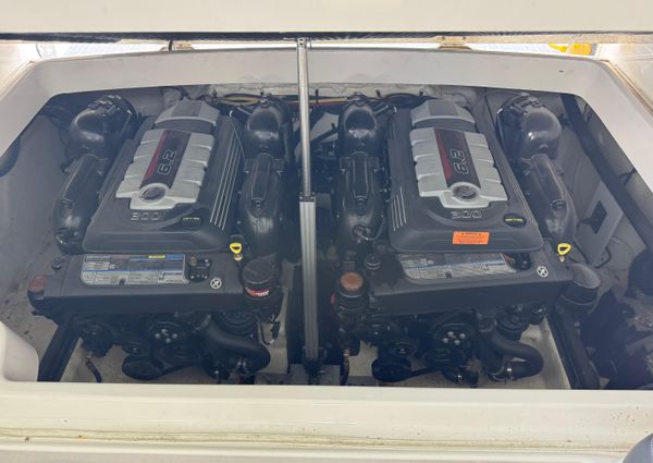 Chaparral 317 SSX image