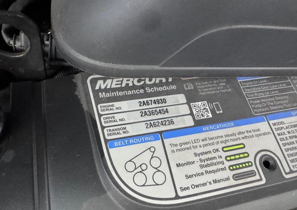 Chaparral 317 SSX image