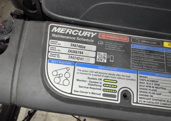 Chaparral 317 SSX image